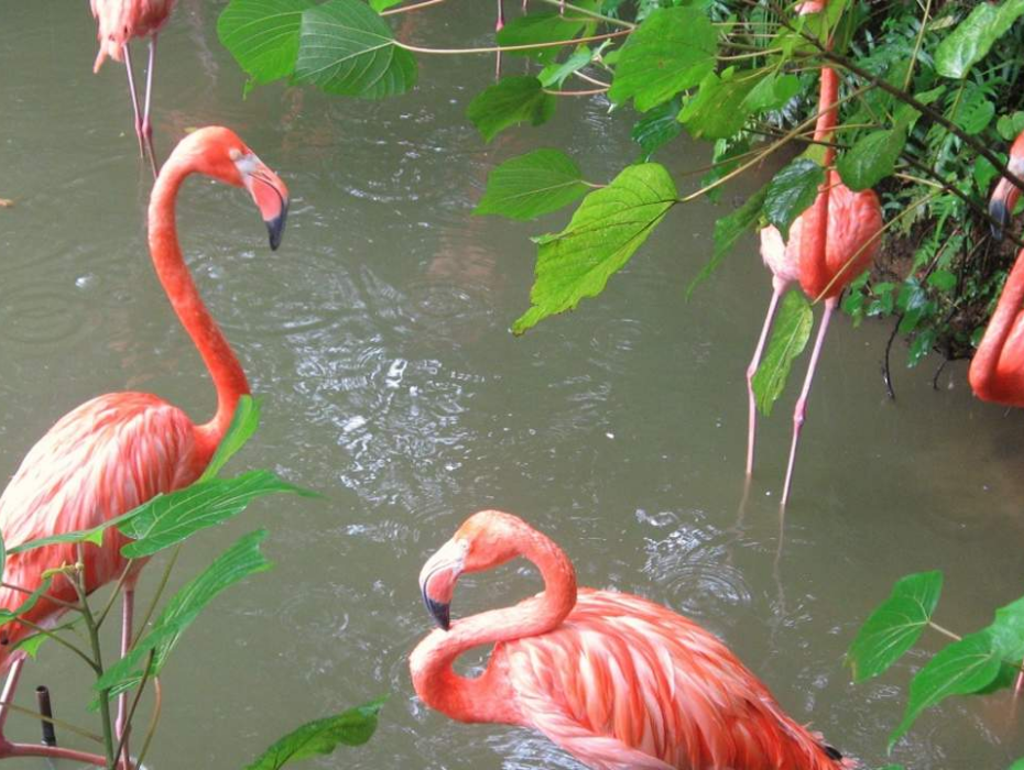 202512091025-7009139669.png 企业微信截图_176524687027.png