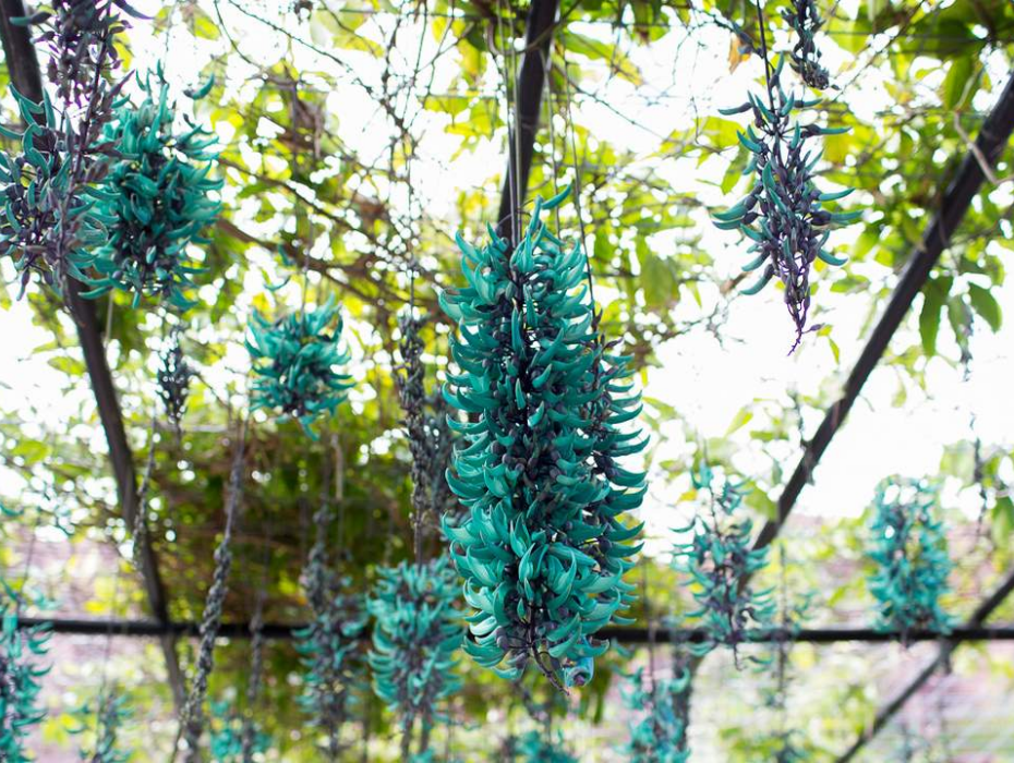 202512091026-2816003077.png 企业微信截图_17652468661701.png