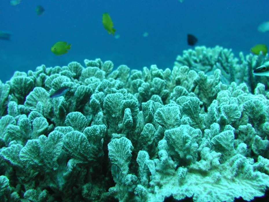 202512091049-6261469751.png 企业微信截图_17652484157231.png