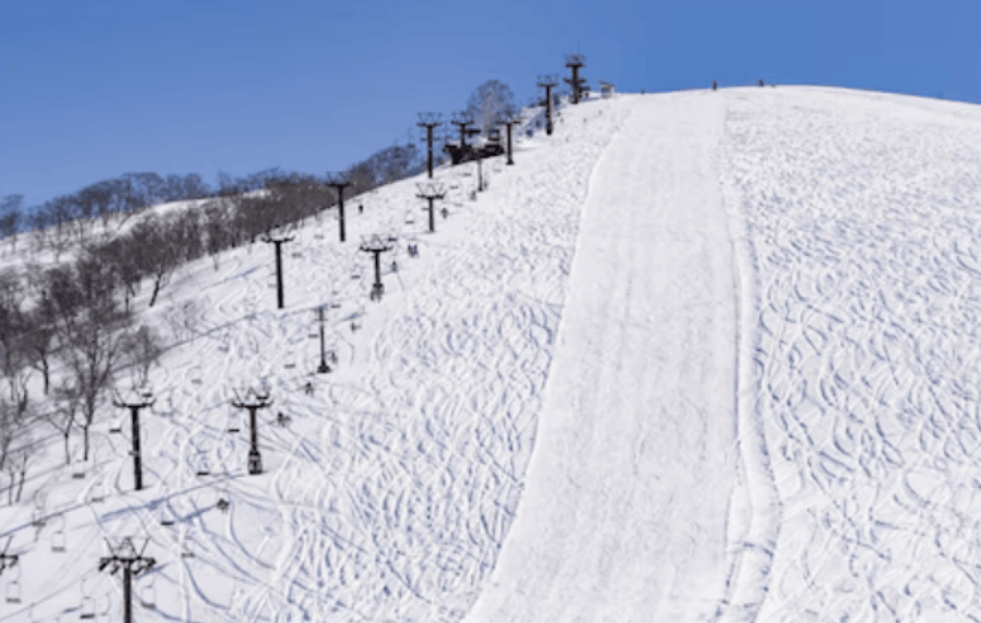 202512091053-9609338263.png DM_20251209101513_020.png