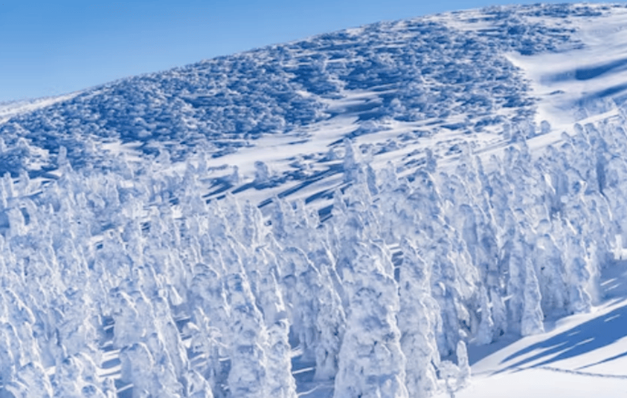 202512091054-5814093127.png DM_20251209101513_033.png