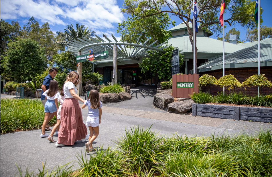 202512091134-4084396134.png image.png