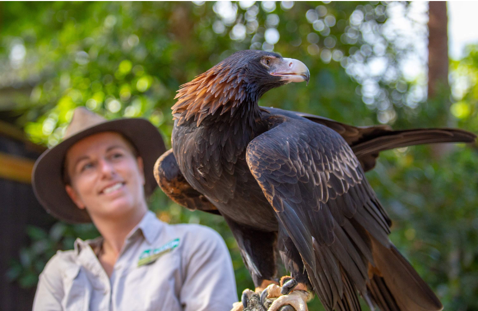 202512091135-9900342783.png image.png