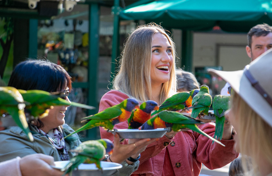 202512091136-3727534044.png image.png