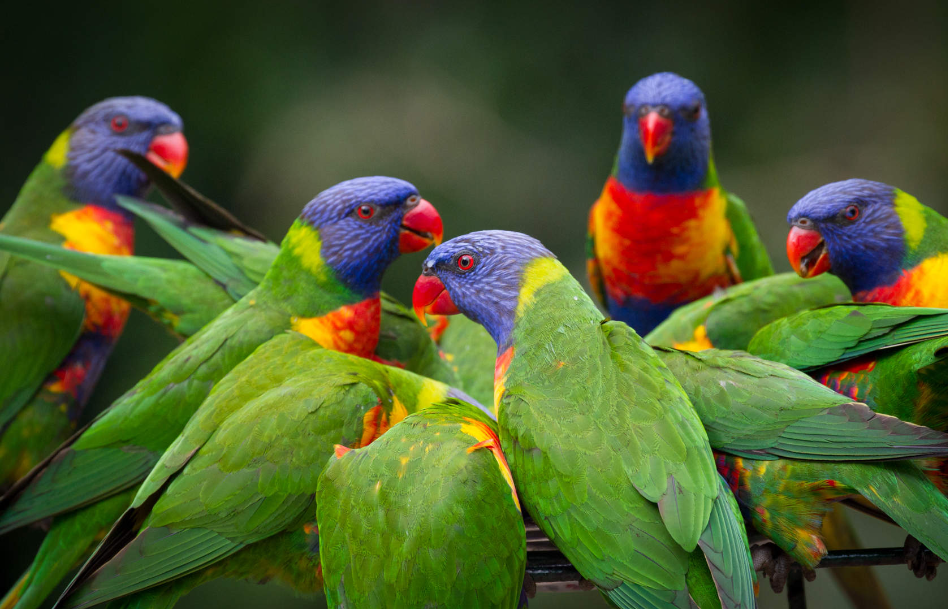 202512091136-8810046477.png image.png