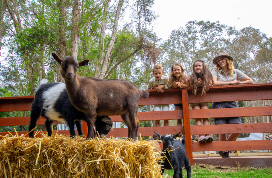 202512091138-2849312566.png image.png