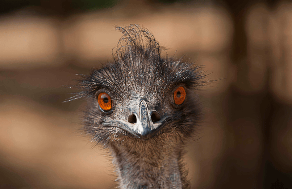 202512091139-3113846069.png image.png