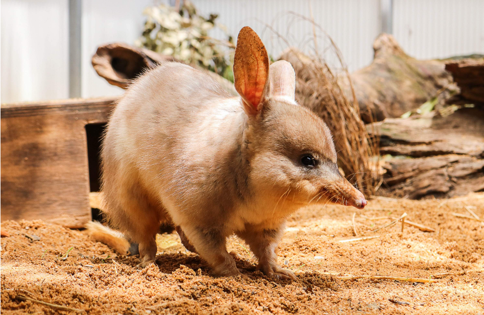 202512091139-8124692576.png image.png