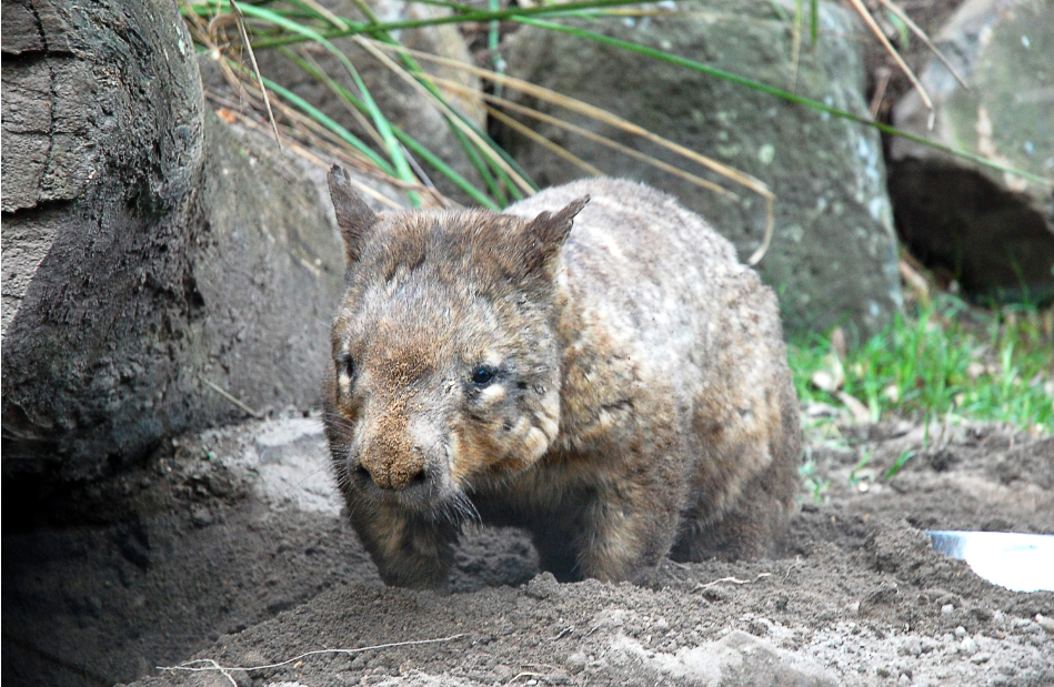 202512091140-5795303775.png image.png