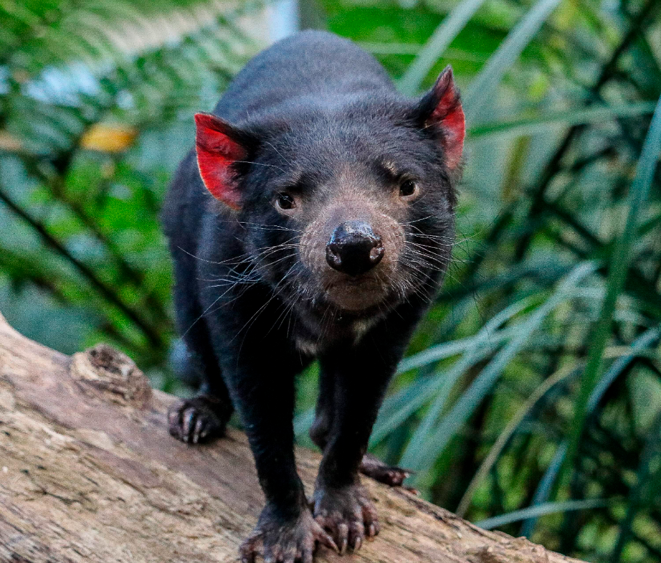 202512091140-7933932698.png image.png