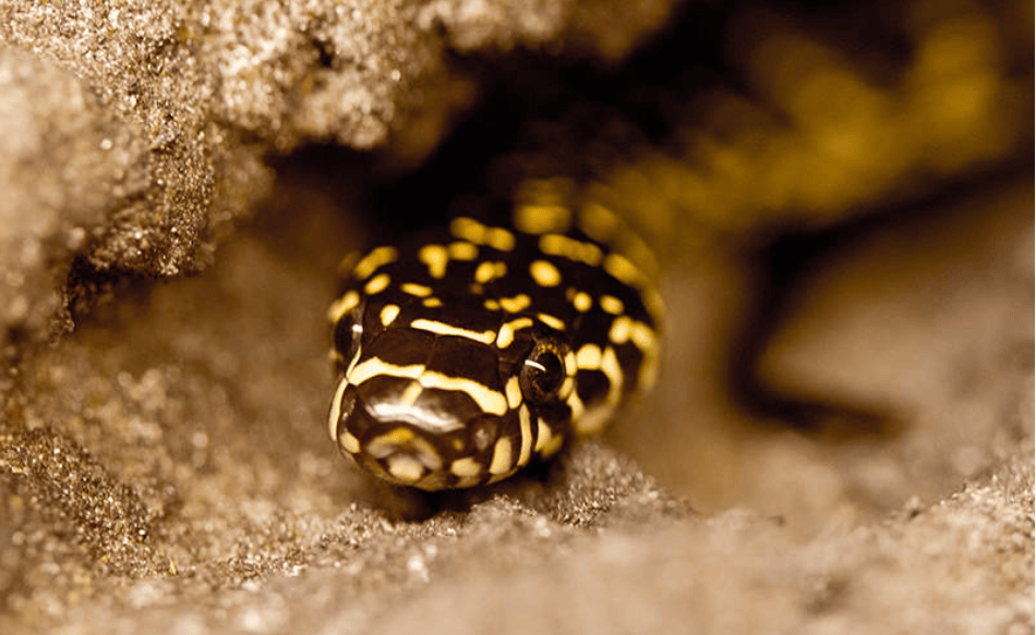 202512091141-1456496320.png image.png