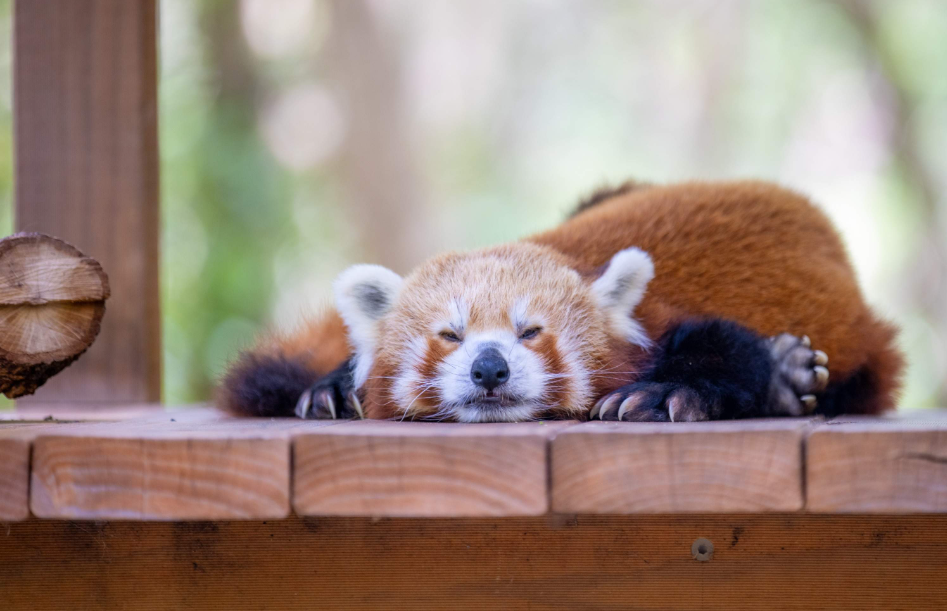 202512091141-1711403247.png image.png