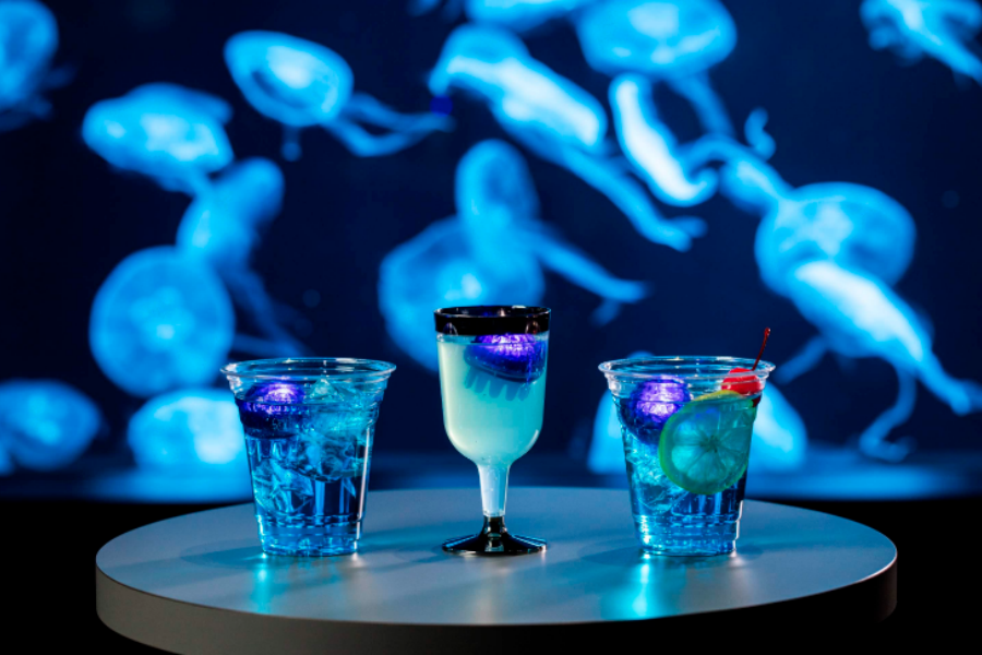 202512091329-1712167823.png Snipaste_2025-12-09_13-27-31.png