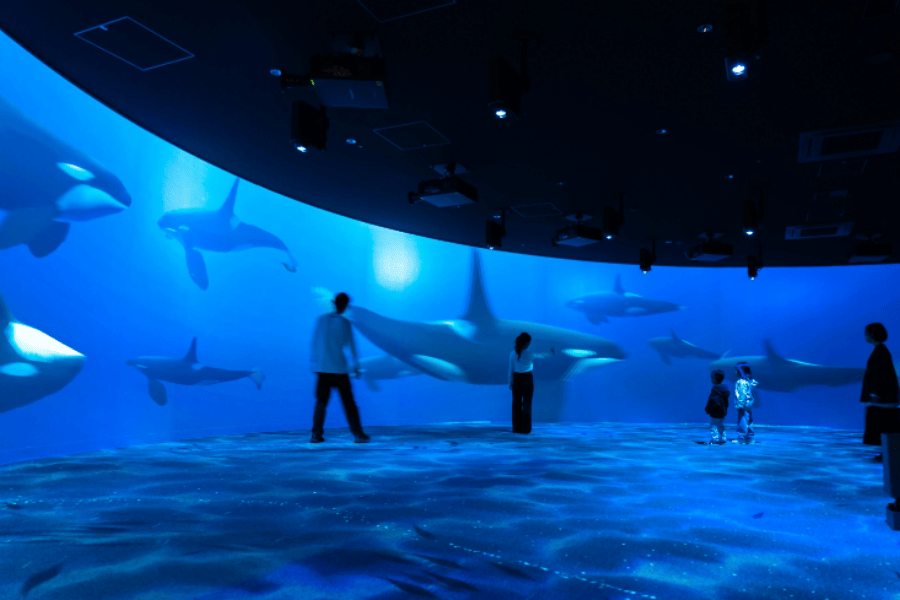 202512091329-4262268087.png Snipaste_2025-12-09_13-26-40.png