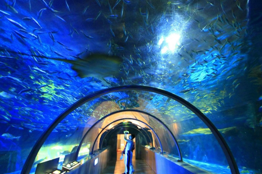 202512091357-2071287877.jpg DM_20251209135314_001.jpg