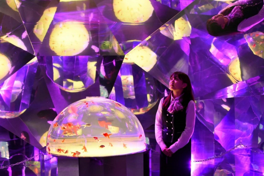 202512091357-3257568540.jpg DM_20251209135314_003.jpg