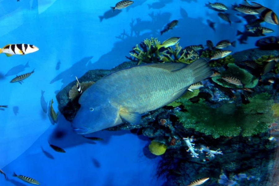 202512091357-5435040243.jpg DM_20251209135314_002.jpg