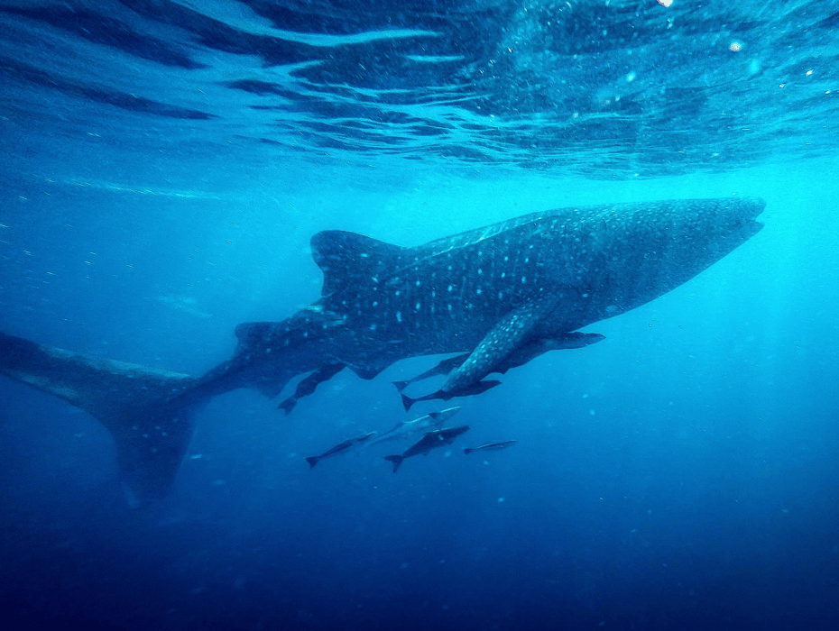 202512091359-7347579318.png 企业微信截图_17652598346300.png