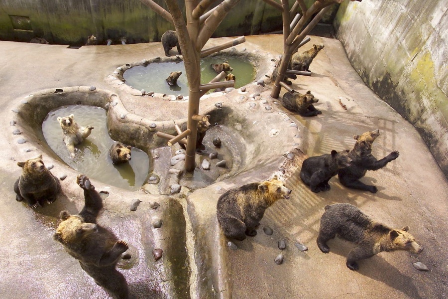 202512091405-7714979579.jpg DM_20251209140333_005.jpg