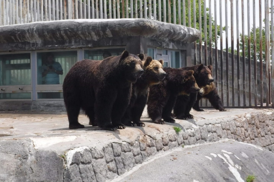 202512091405-9915115843.jpg DM_20251209140333_006.jpg