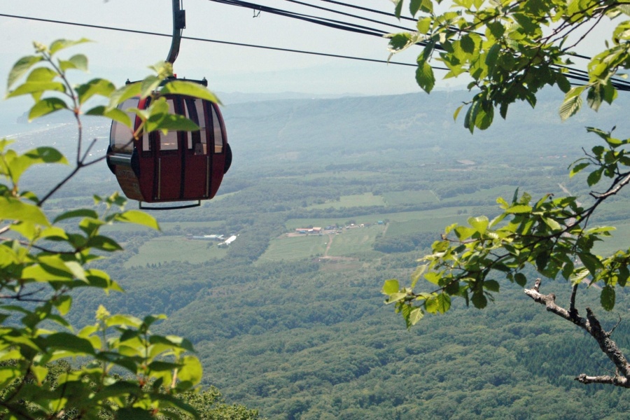 202512091406-5892741217.jpg DM_20251209140333_002.jpg