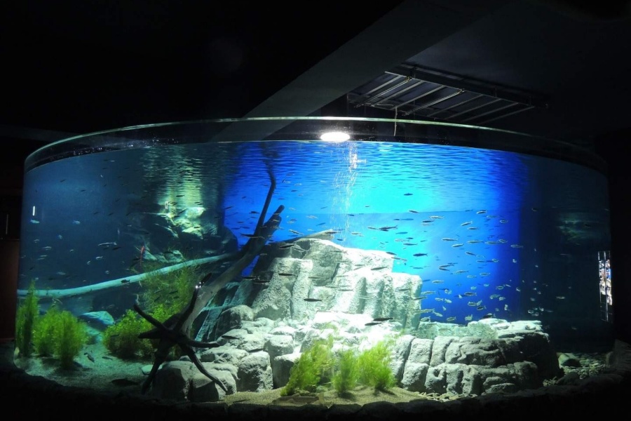 202512091438-3221117125.jpg DM_20251209143734_003.jpg