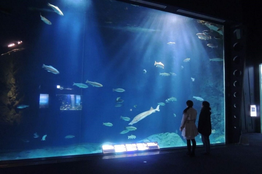 202512091438-9735244152.jpg DM_20251209143734_002.jpg