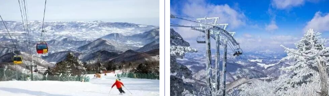 202512091453-3372956505.png image.png