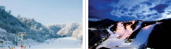 202512091455-1494858553.png image.png