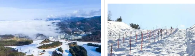 202512091455-5752934321.png image.png