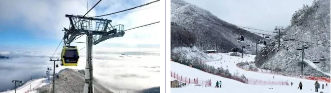 202512091455-6876785861.png image.png