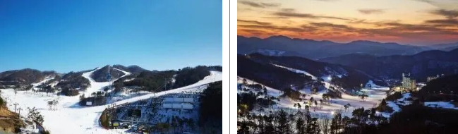 202512091456-7088791817.png image.png