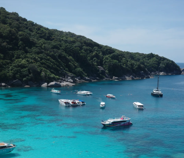 202512091532-4533471135.png image.png