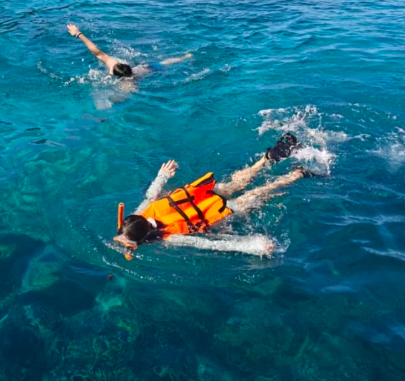 202512091533-6713681354.png image.png