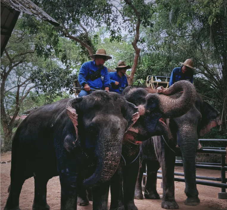 202512091547-6026003181.png image.png