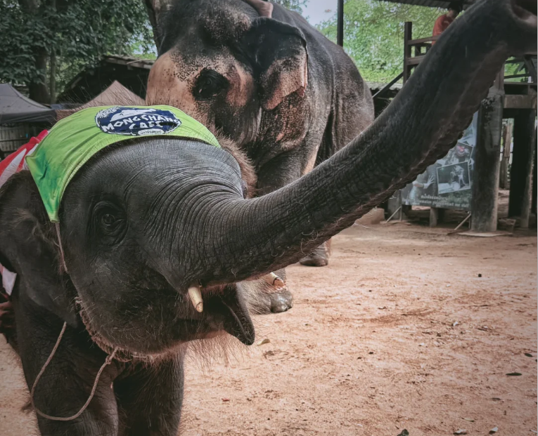 202512091548-4705514881.png image.png