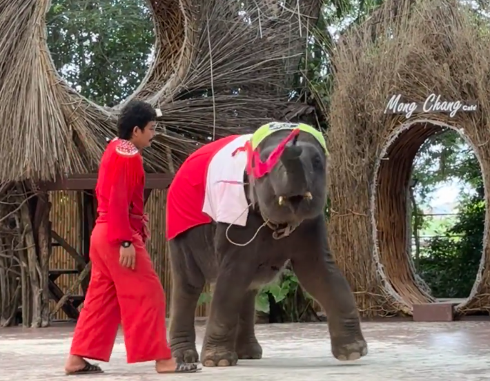 202512091548-5077539479.png image.png