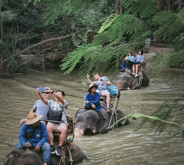 202512091548-7038595138.png image.png