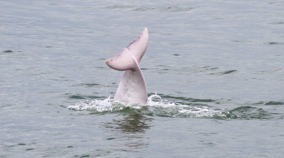 202512100826-2480741732.jpg DM_20251210081611_003.jpg