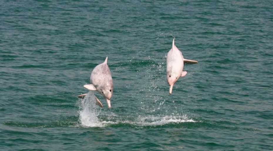 202512100826-8113310947.jpg DM_20251210081611_001 (2).jpg