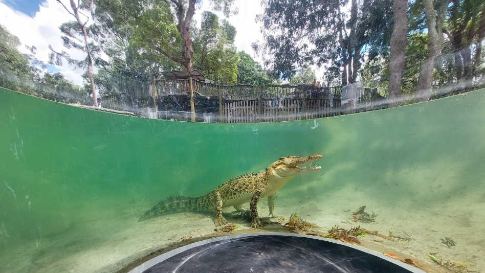 202512100928-7058218996.png image.png