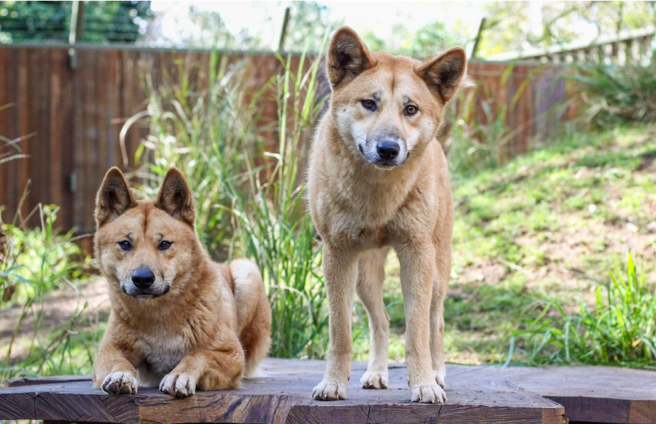 202512100929-3383071548.png image.png