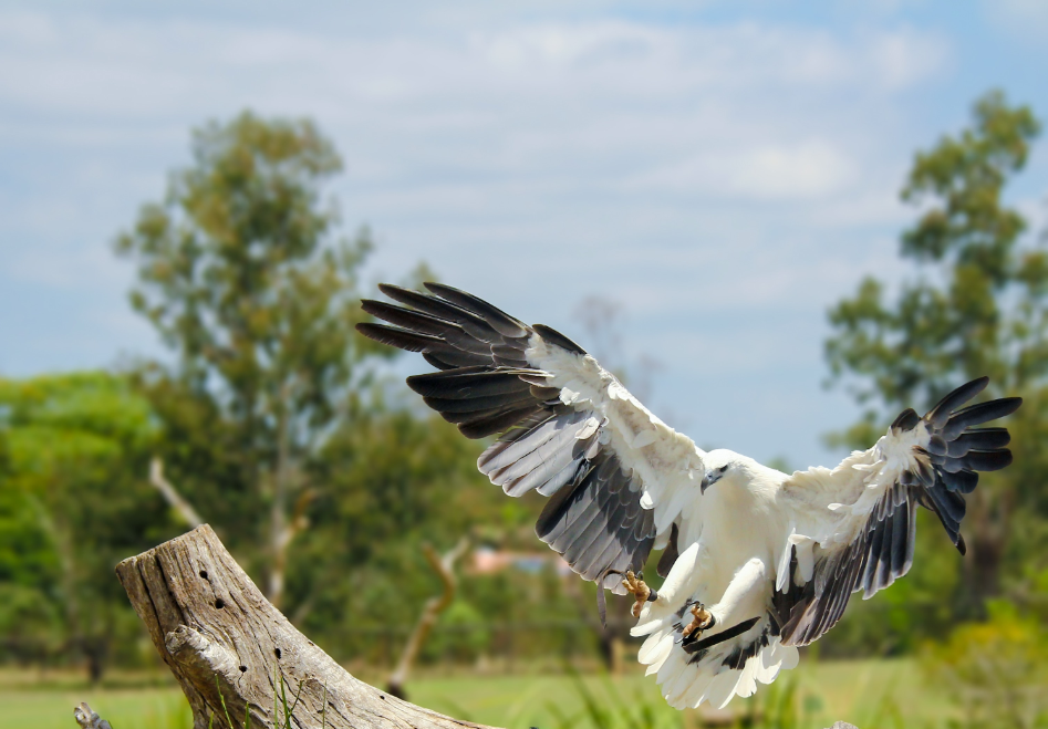 202512100930-4708557557.png image.png