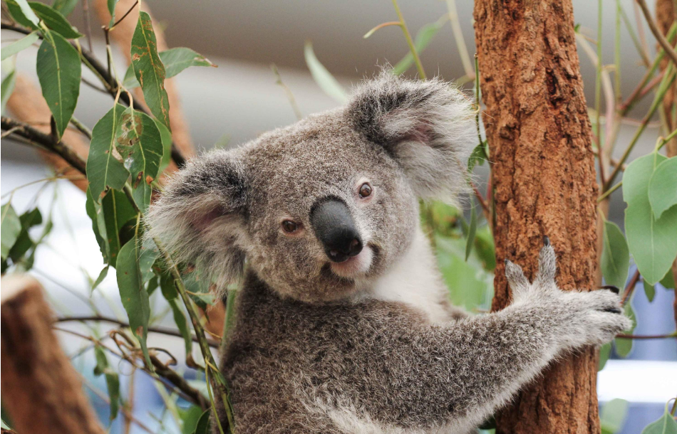 202512100930-8640110750.png image.png