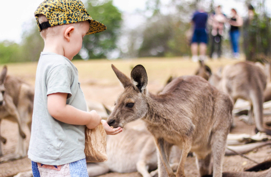 202512100930-9035781386.png image.png