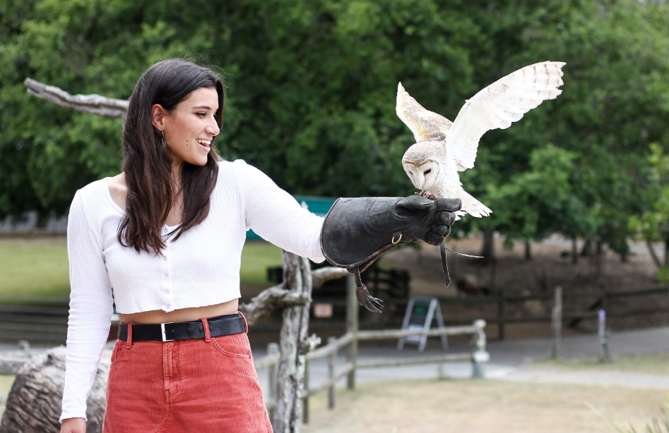 202512100931-9542604020.png image.png