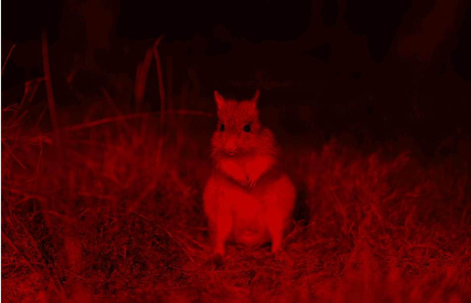 202512100933-1665357363.png image.png