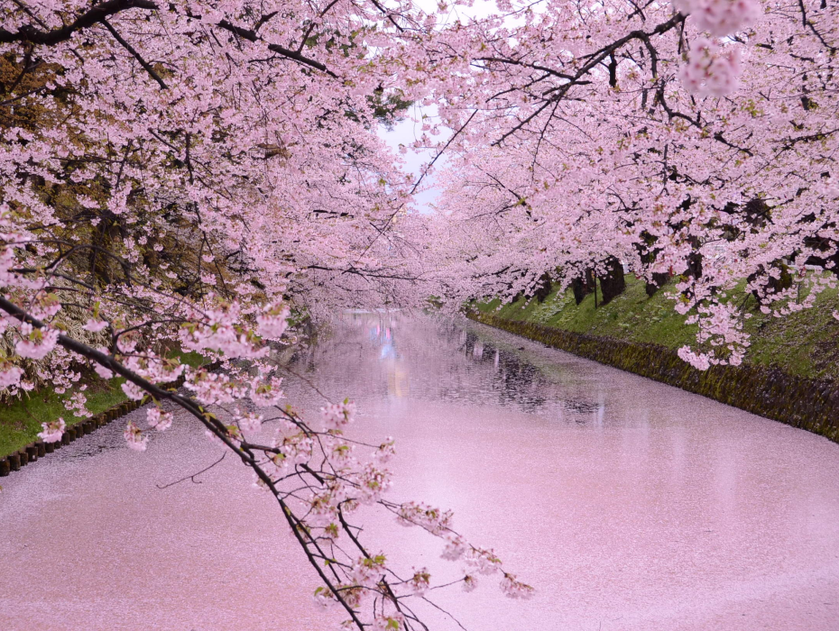 202512100945-3247076209.png 企业微信截图_17653305634344.png