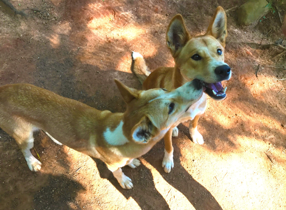 202512101044-2628179493.png image.png