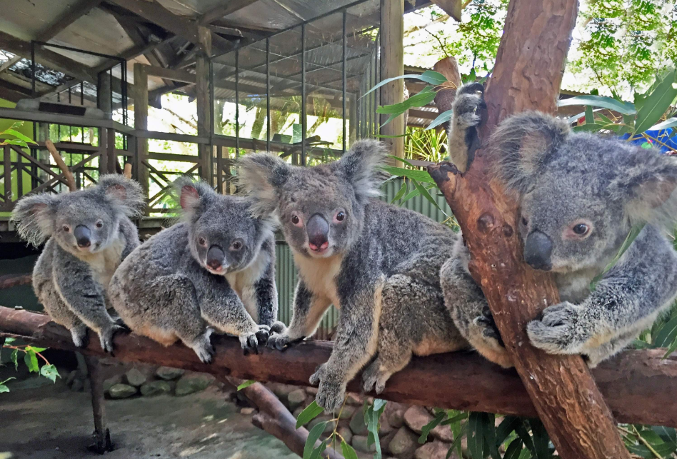 202512101044-7770672117.png image.png